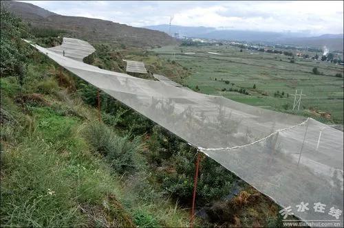  Hail Protection For Garden