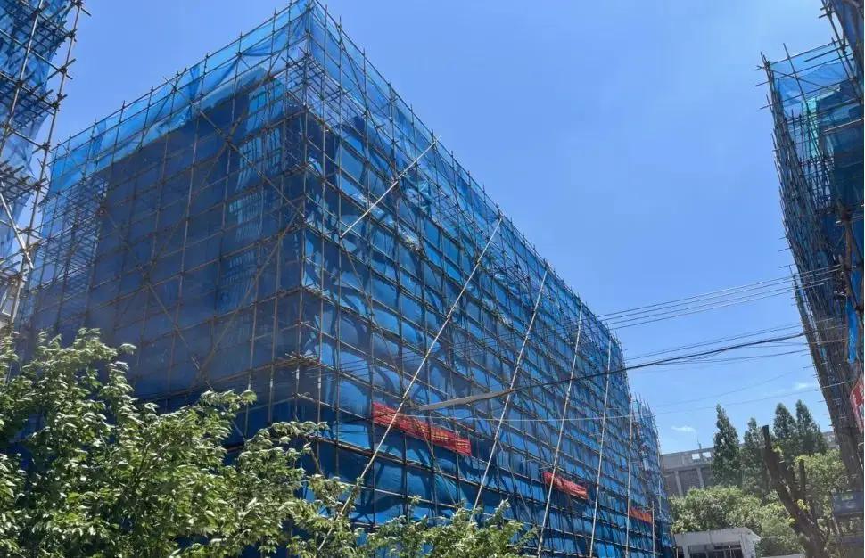  Blue Scaffold Netting