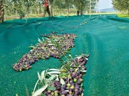  Olive Harvest Netting 3m