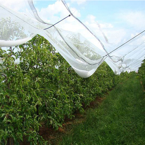  Hail Netting For Gardens 3mx40m