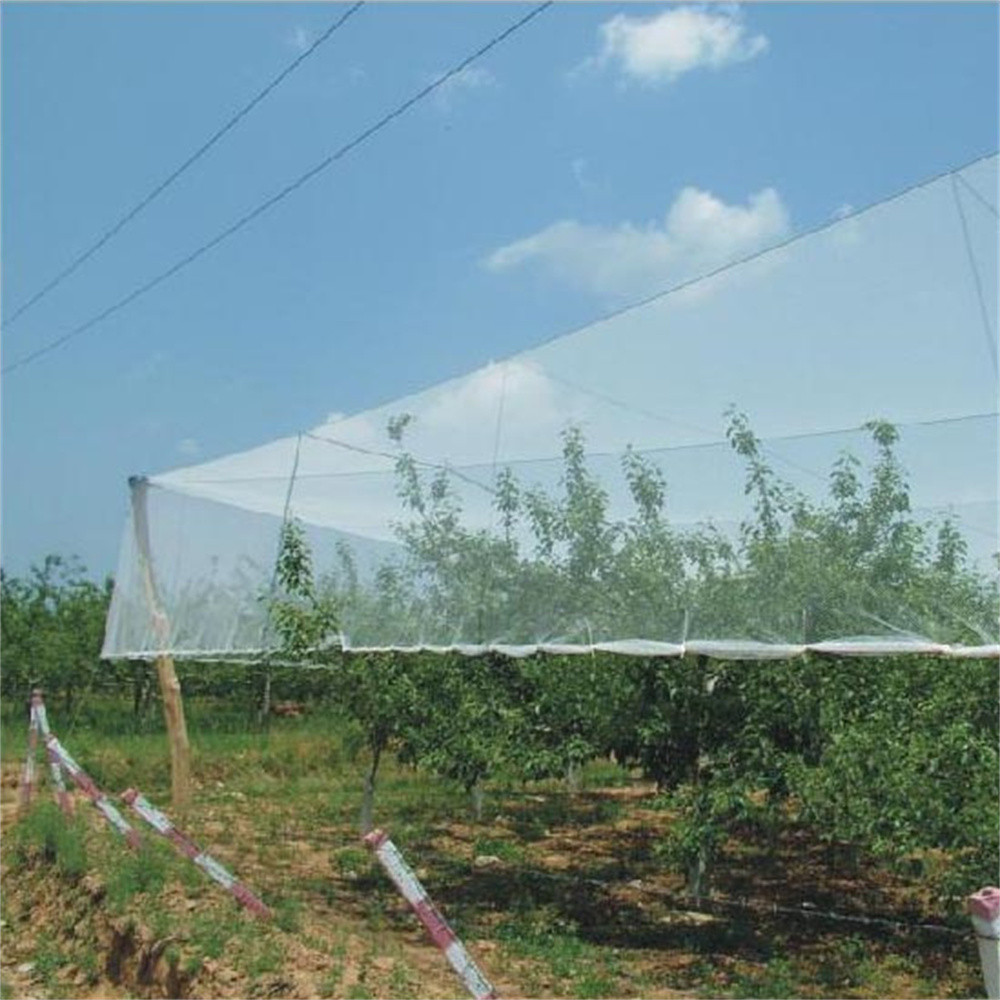 Tuflex Anti Hail Net