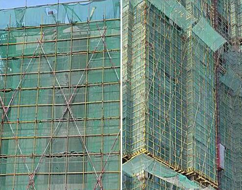  Scaffold Net