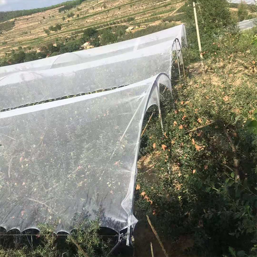 Anti Hail Nets For Gardens