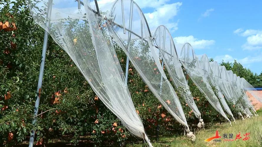 Hail Netting Suppliers