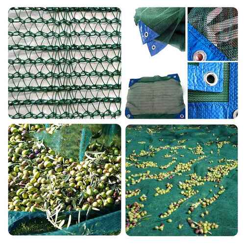 Green Olive Harvest Nets For Sale