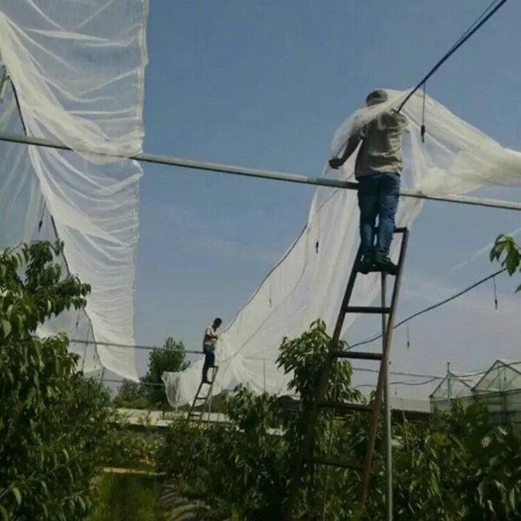  Hail Netting