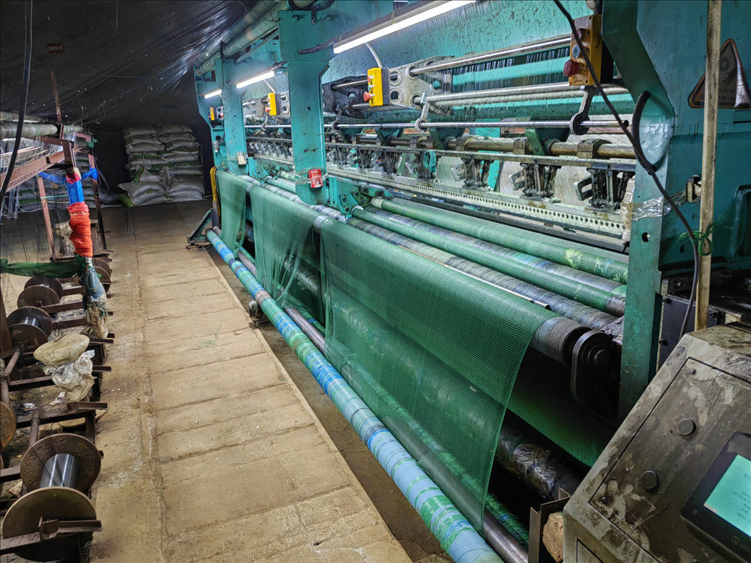  Olive Harvest Netting