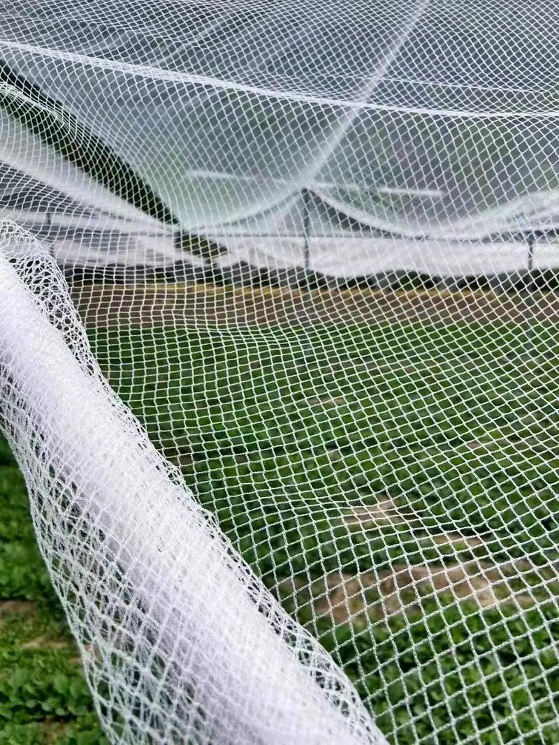  Anti Hail Netting