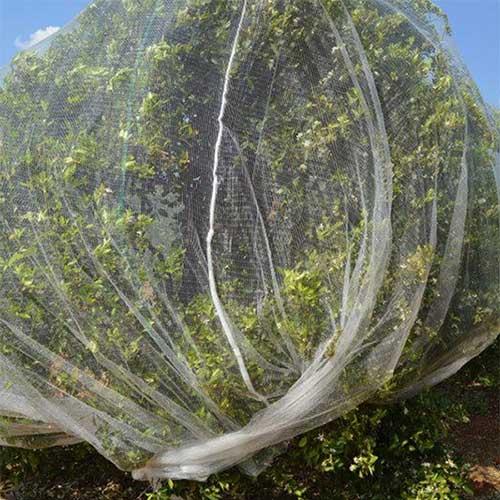  Hail Netting For Vineyards 3m