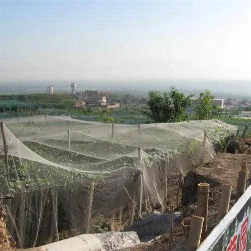  Orchard Hail Netting