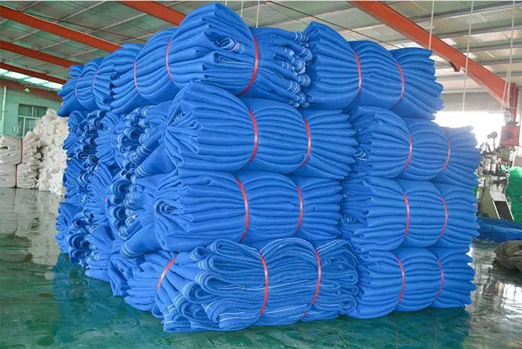 Blue Scaffold Netting