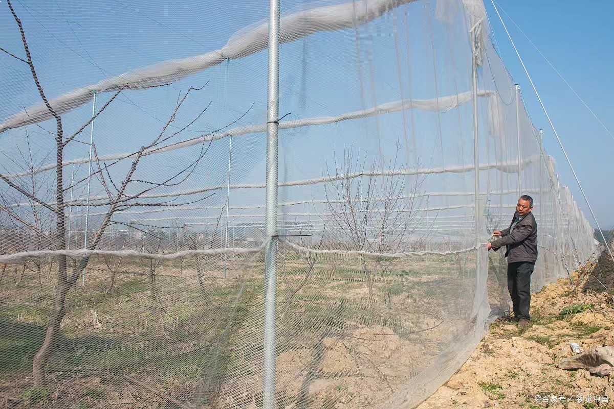  Orchard Hail Netting