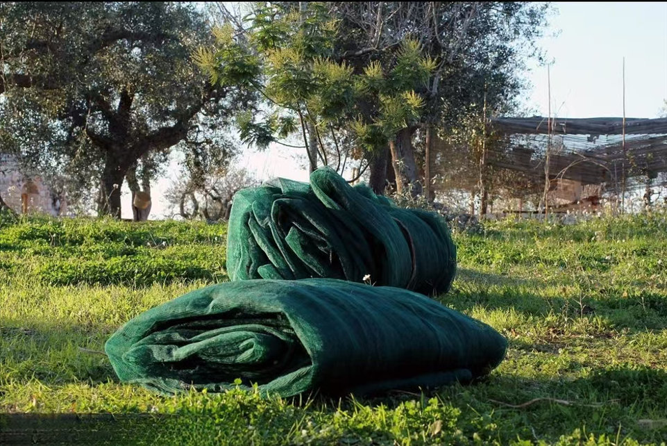  Olive Harvest Netting 2m