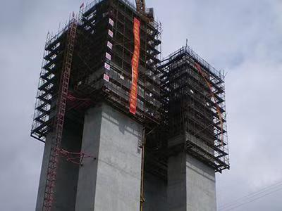  Black Scaffold Mesh