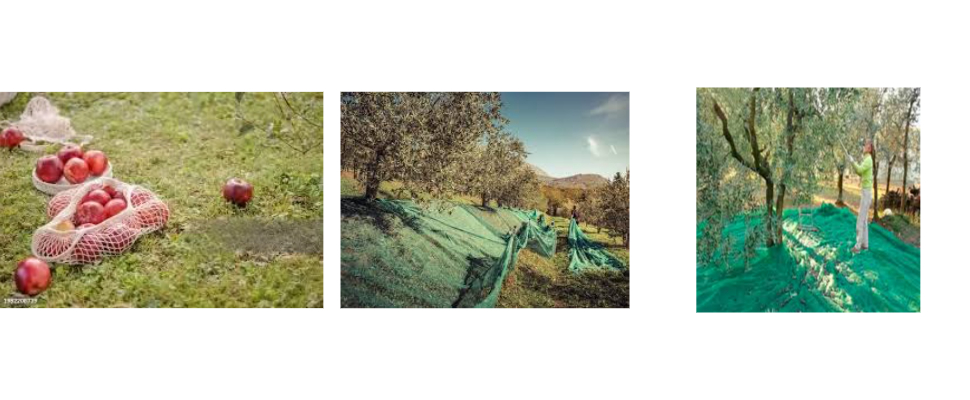  Fruit Harvest Nets