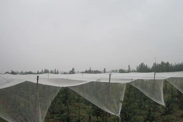  Plant Hail Protection